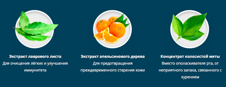 Состав NicoCleaner