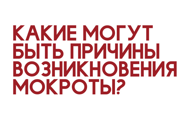 Причины возникновения мокроты при отказе от курения