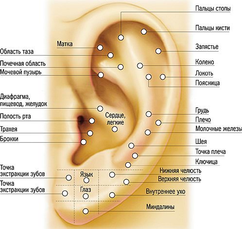 Аурикулорефлексотерапия от курения